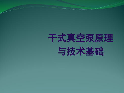 干式真空泵
