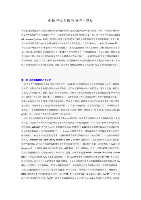 中枢神经系统的损伤与修复