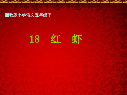 湘教版小学语文五年级下   18  红  虾