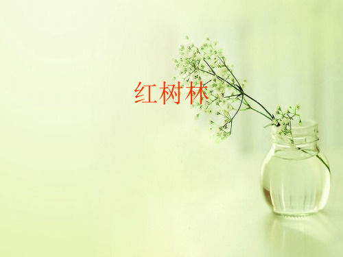 红树林PPT教学课件