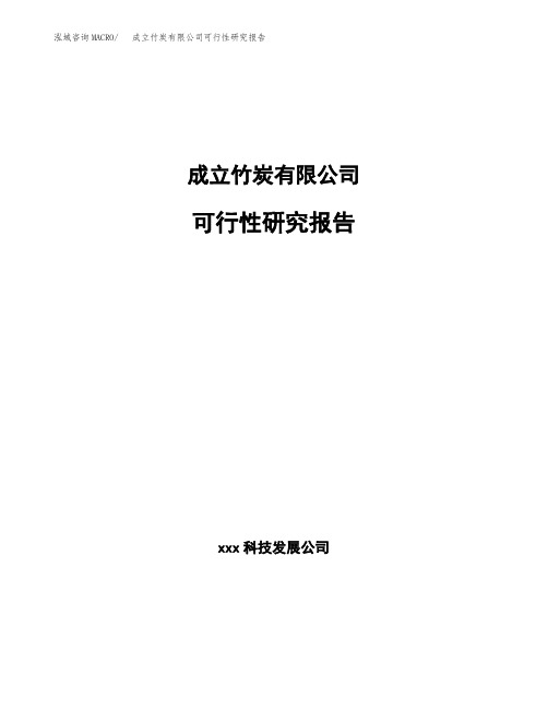 成立竹炭有限公司可行性研究报告