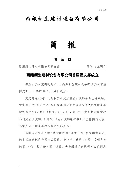 团支部成立简报