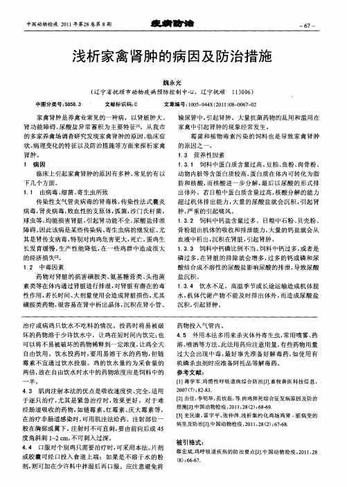 浅析家禽肾肿的病因及防治措施