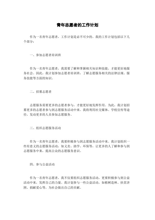 青年志愿者的工作计划