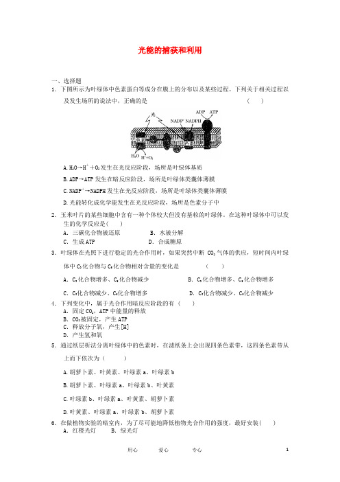 高中生物 3.2.3 光能的捕获和利用 15每课一练 中图版必修1