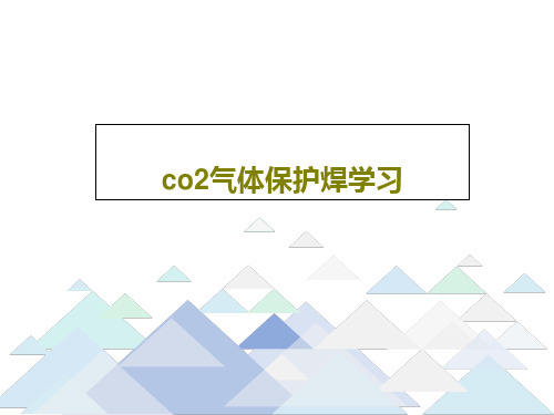 co2气体保护焊学习PPT共24页