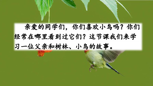 三年级上册《父亲、树林和鸟》PPT精品课件部编版