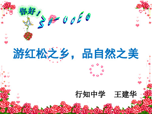 人教版七年级历史与社会下第六单元第一课《红松之乡》课件 (共19张PPT)