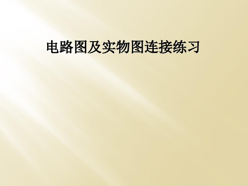 电路图及实物图连接练习