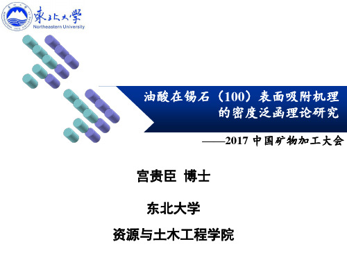 油酸在锡石(100)表面吸附机理