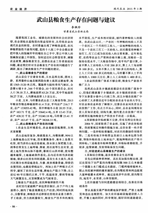 武山县粮食生产存在问题与建议