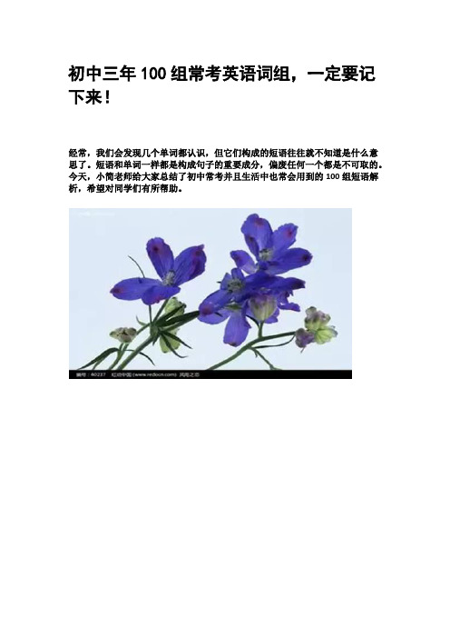 初中三年100组常考英语词组