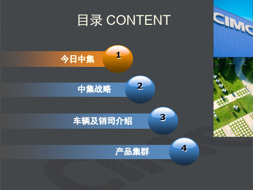 中集集团介绍20080801中文