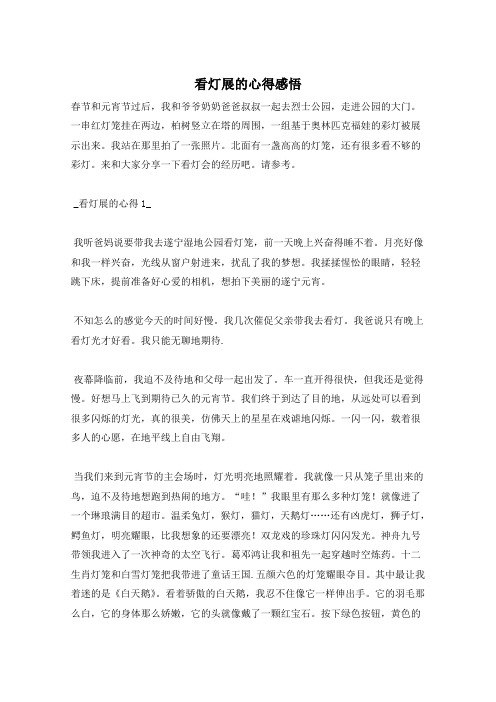 看灯展的心得感悟