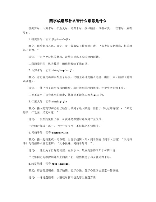 四字成语尽什么皆什么意思是什么
