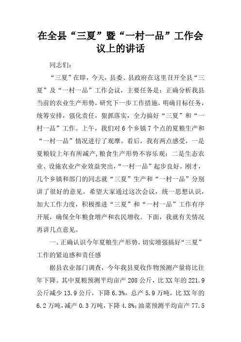 在全县“三夏”暨“一村一品”工作会议上的讲话