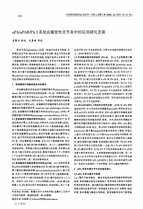 uPA_uPAR_PAⅠ系统在膝骨性关节炎中的应用研究进展