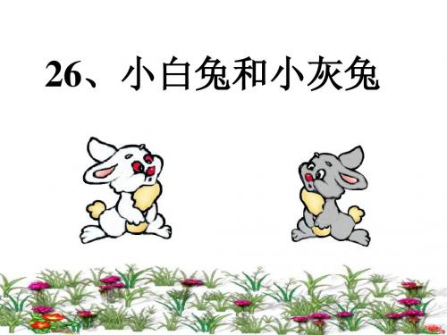 26课《小白兔和小灰兔》PPT课件(共13张)