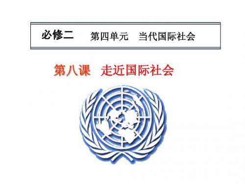 2014届高考一轮复习政治必修二4-8_走近国际社会