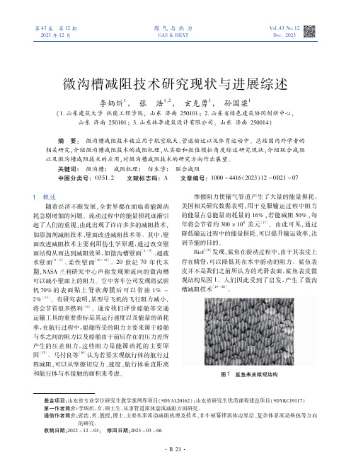 微沟槽减阻技术研究现状与进展综述