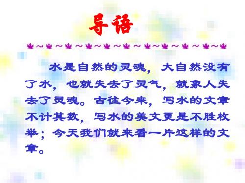 奔落的雪原课件