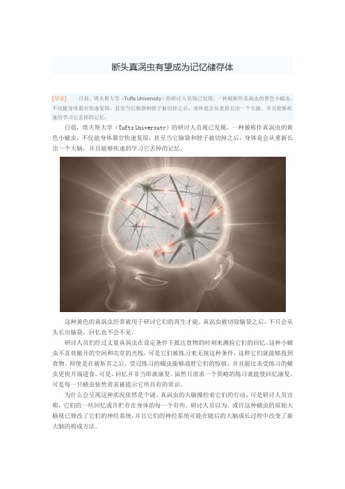 断头真涡虫有望成为记忆储存体