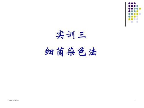 实训三 细菌染色法