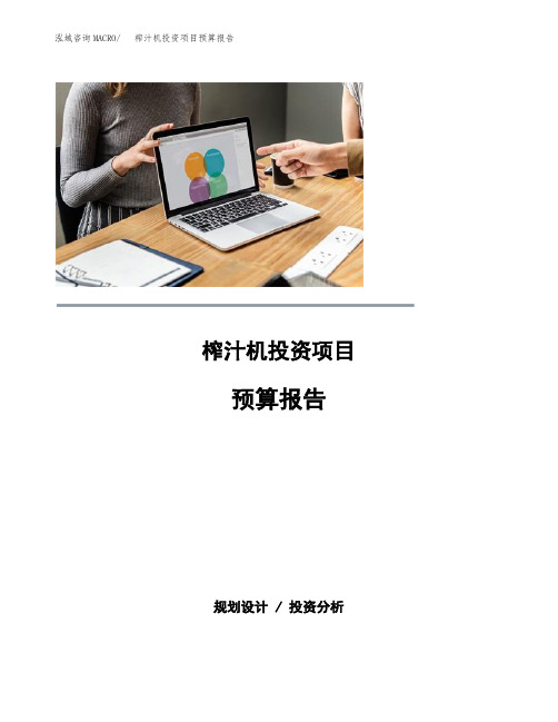 榨汁机投资项目预算报告