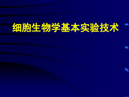 细胞生物学基本实验技术(139页)