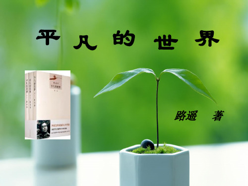 平凡的世界