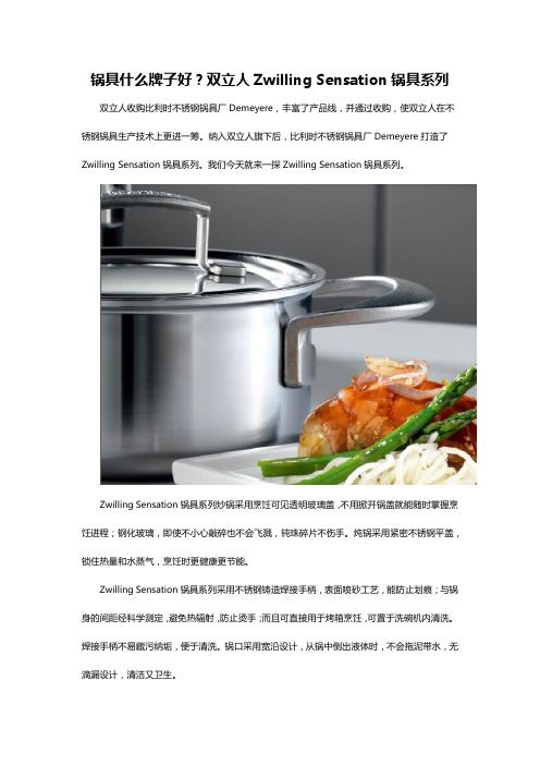 锅具什么牌子好？双立人Zwilling Sensation锅具系列