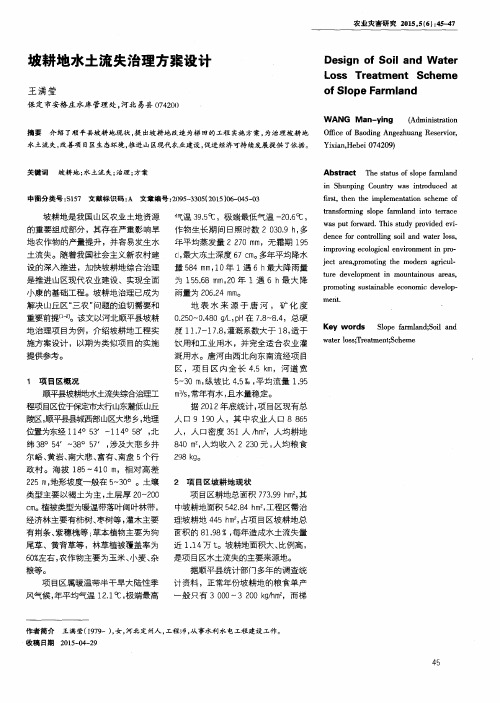 坡耕地水土流失治理方案设计