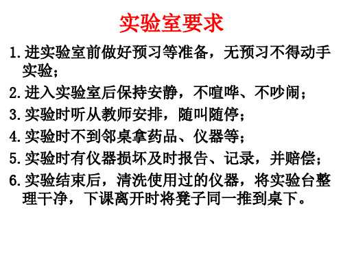 苯酚的结构与性质