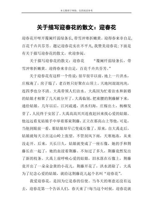 关于描写迎春花的散文：迎春花