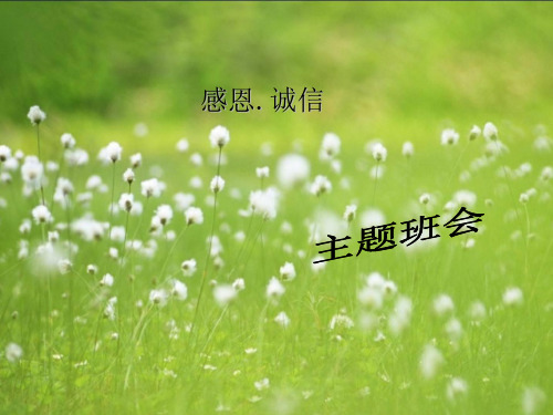 感恩.诚信主题班会课件