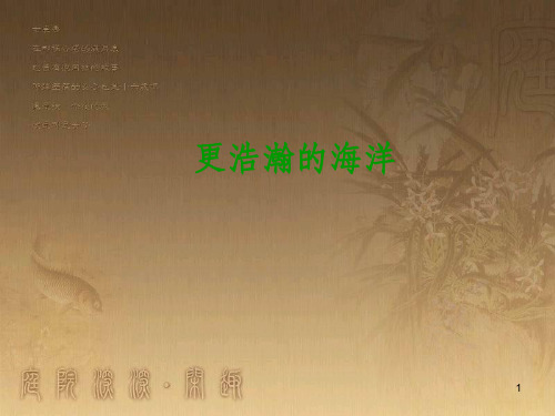 九年级语文下册 4《更浩瀚的海洋》课件 语文版