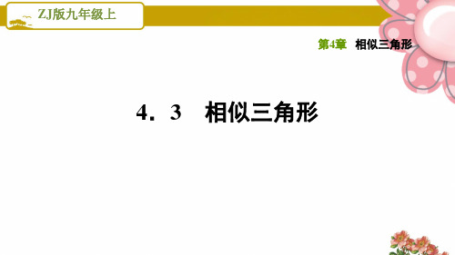 浙教版九年级数学上册《相似三角形》4.3相似三角形