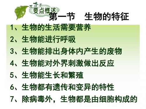 七年级生物上册期中复习课件++56PPT剖析