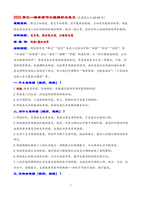 2020高三一模奉贤作文题解析及范文(醉过才知酒浓……)