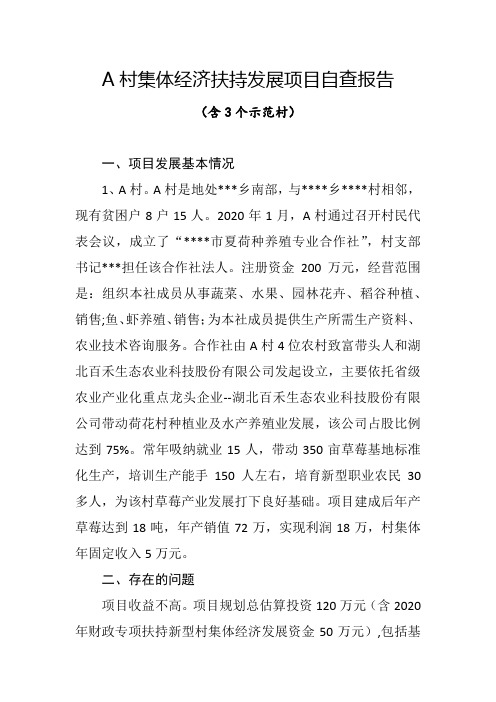 新型村集体经济扶持发展项目自查报告