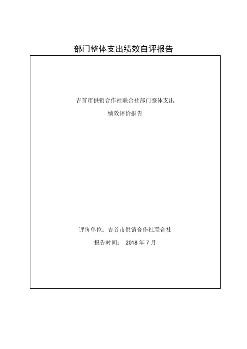 部门整体支出绩效自评报告