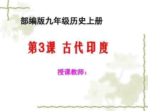 新人教版九年级历史上册《一单元 古代亚非文明  第3课 古代印度》公开课课件_15