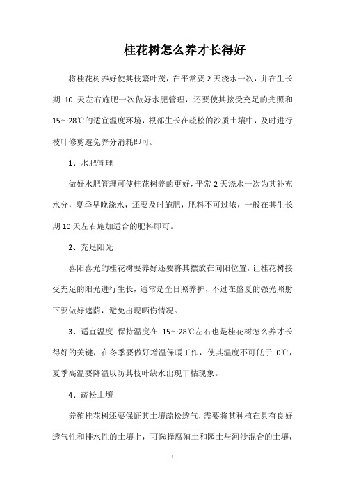 桂花树怎么养才长得好