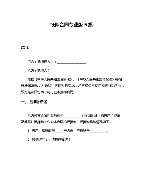 抵押合同专业版5篇