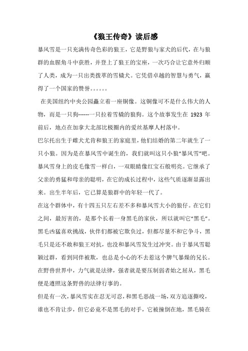 《狼王传奇》读后感_10