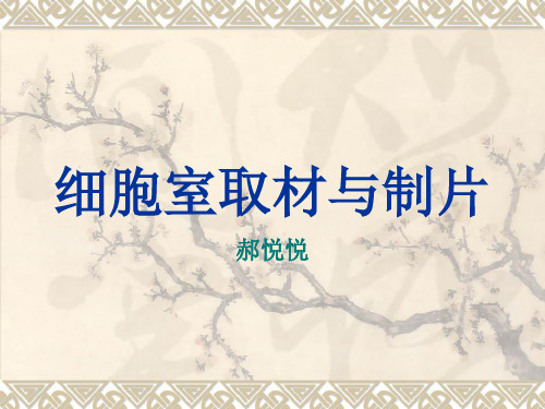 细胞室取材与制片