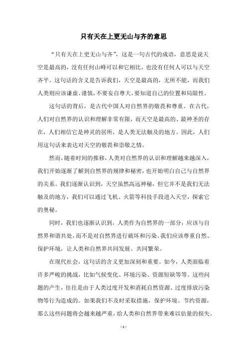 只有天在上更无山与齐的意思