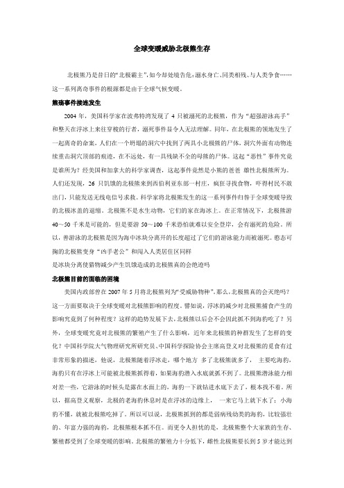 全球变暖威胁北极熊生存