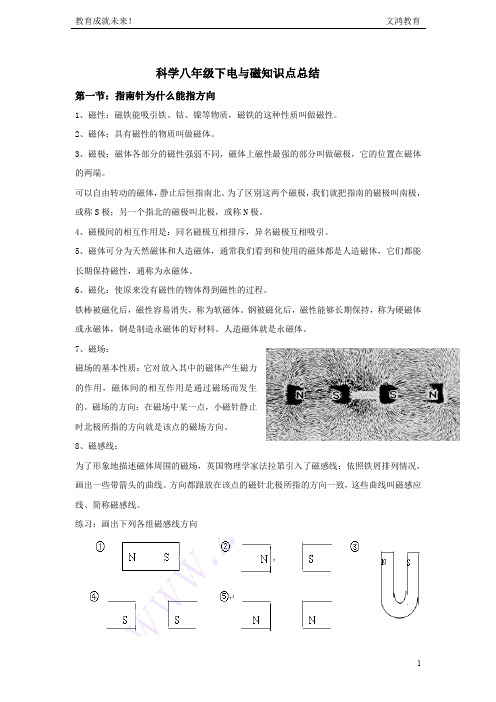(精品)科学八年级下电与磁知识点总结