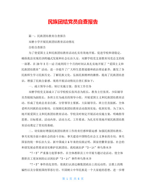 民族团结党员自查报告